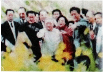1-4-仙湖植物园